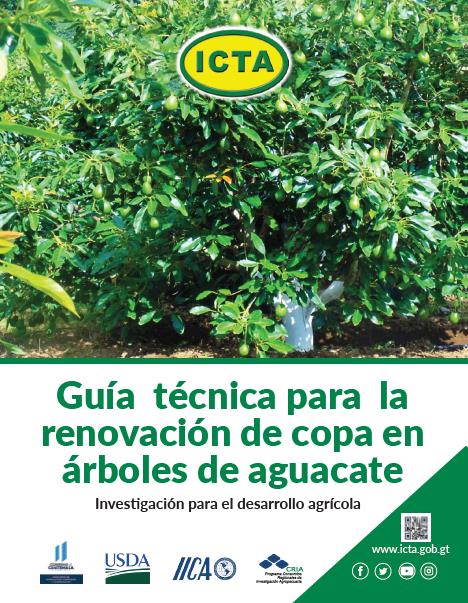 Técnica de renovación de copa, desvendado, fertilización, poda de  formación, injertación, despatronado, tutoreo, aguacate